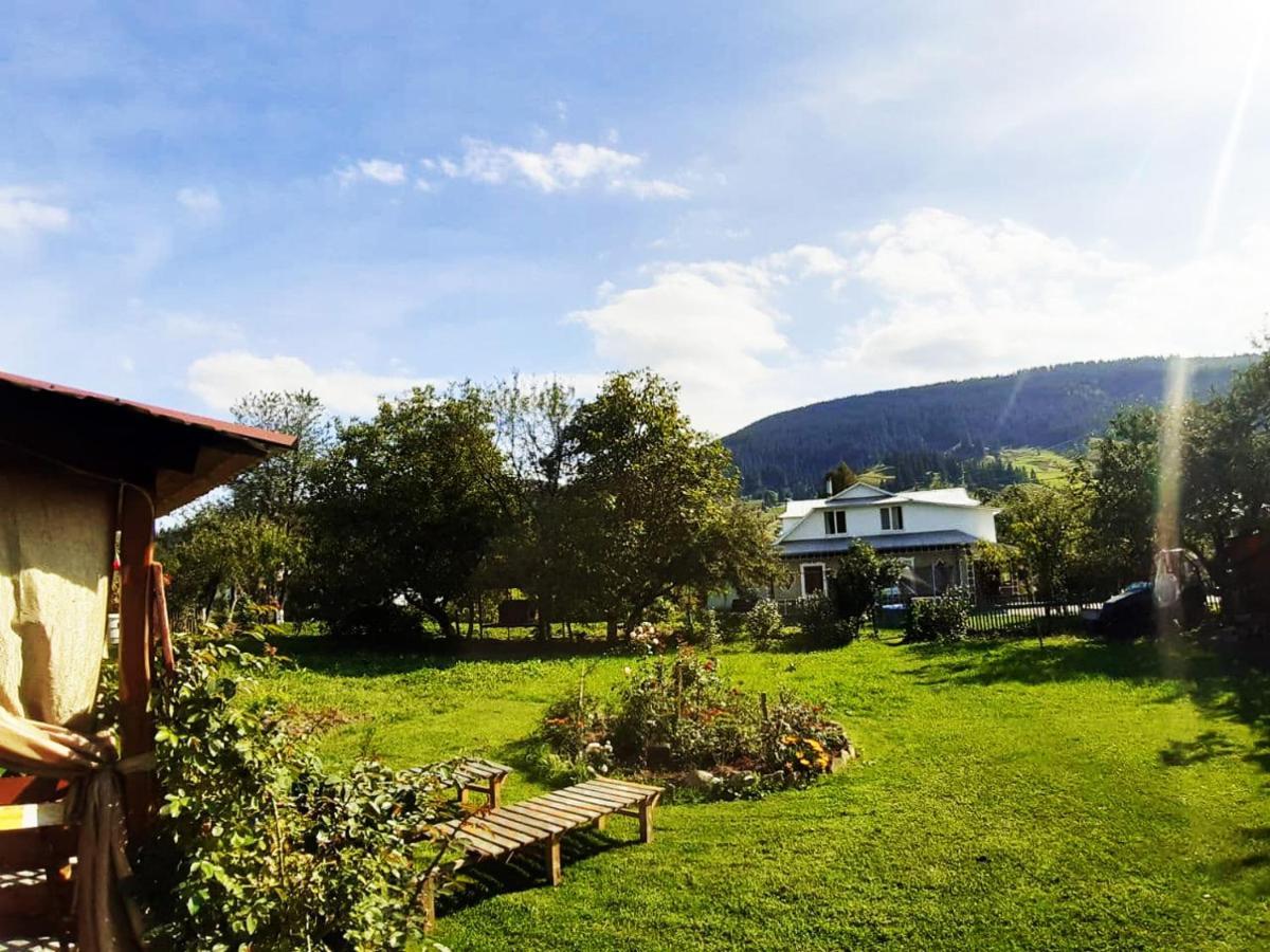 Lavanda Apartment