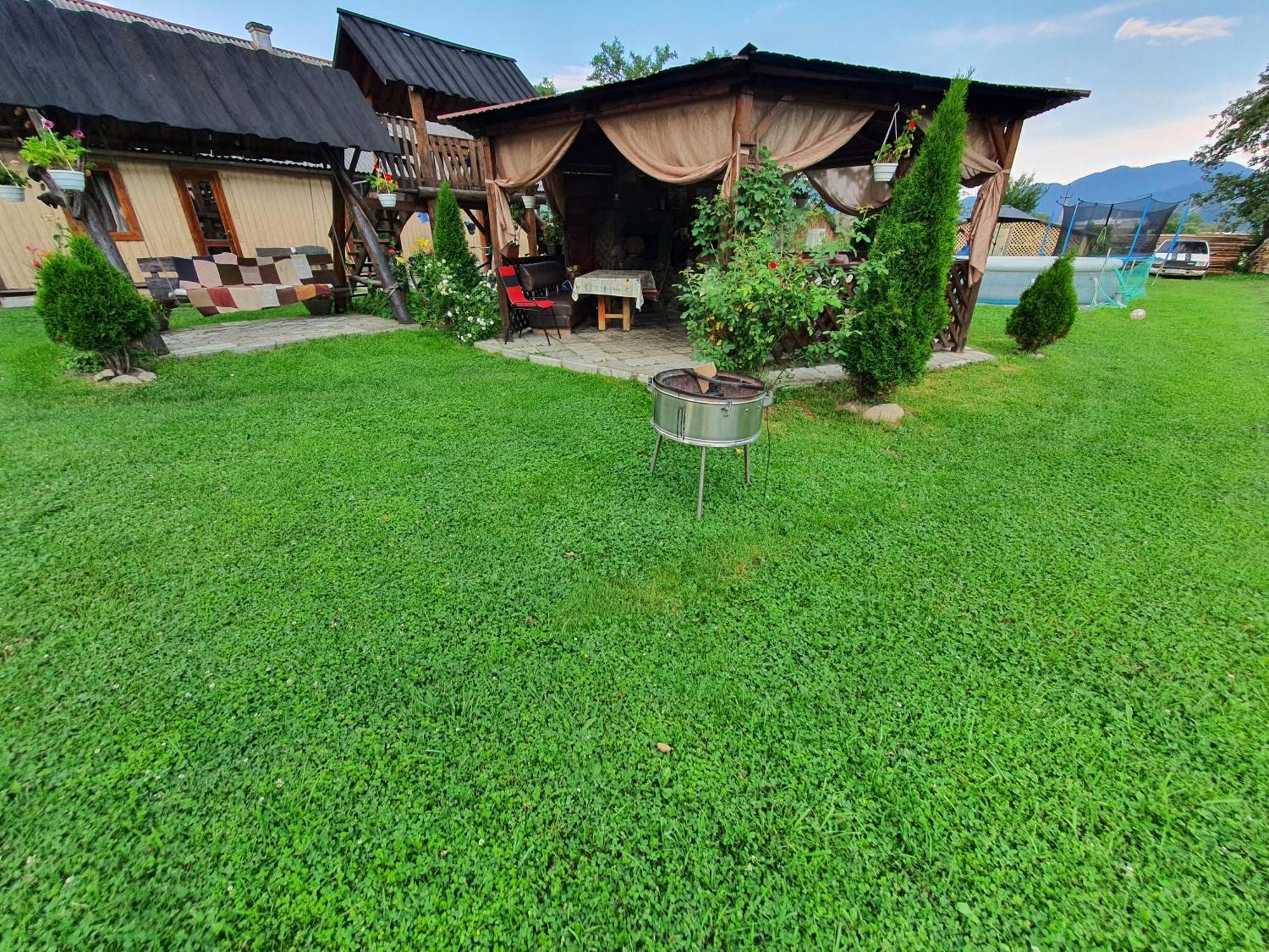 Apartment Lavanda Verkhovyna